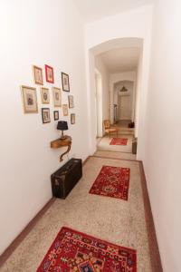 camino home