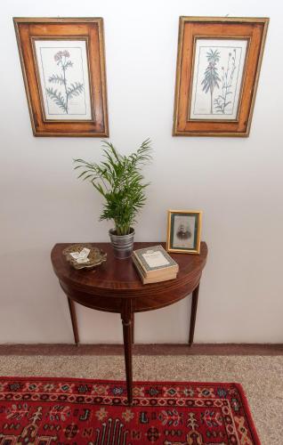 camino home