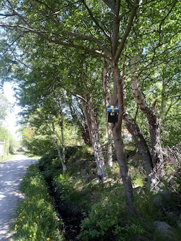 kungshamns vandrarhem