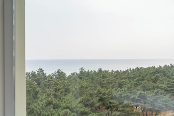 avvio hotel