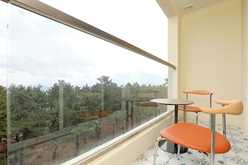 avvio hotel