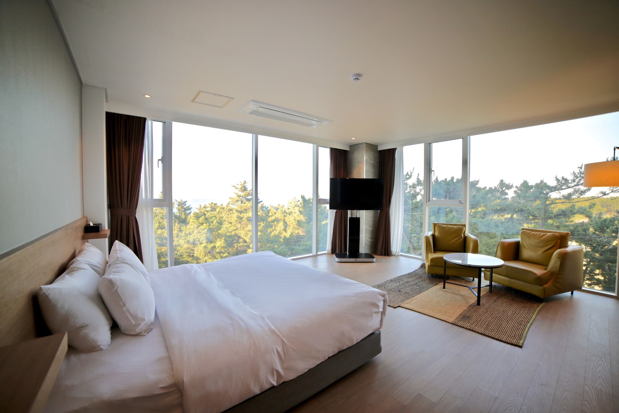 avvio hotel