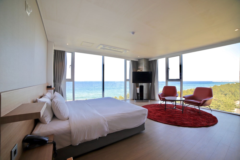 avvio hotel