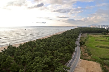 avvio hotel