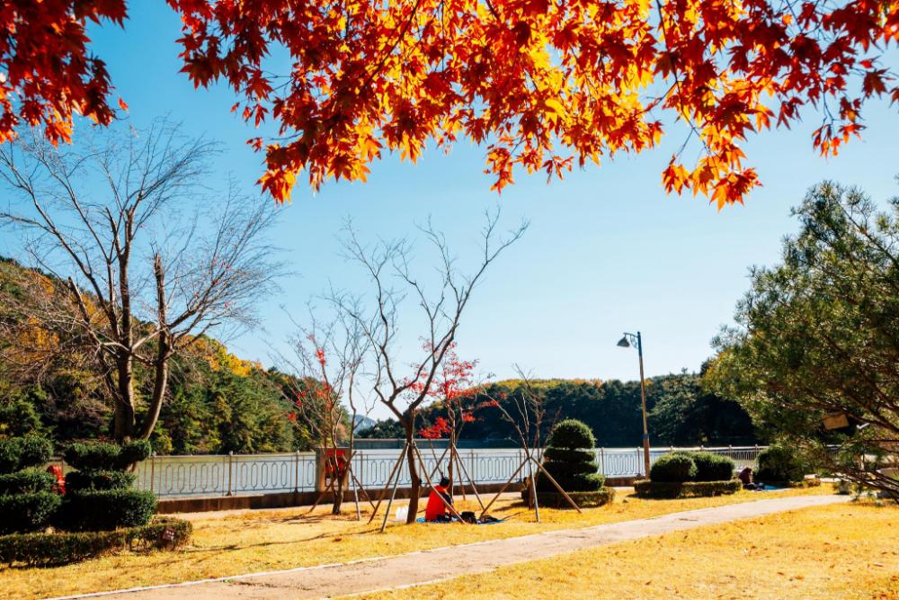 goodstay dongrae oncheon hotel