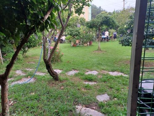 pohang mimi house pension