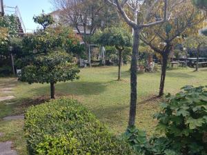 pohang mimi house pension