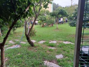 pohang mimi house pension