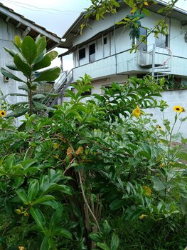 navegantes