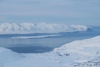 grenivik
