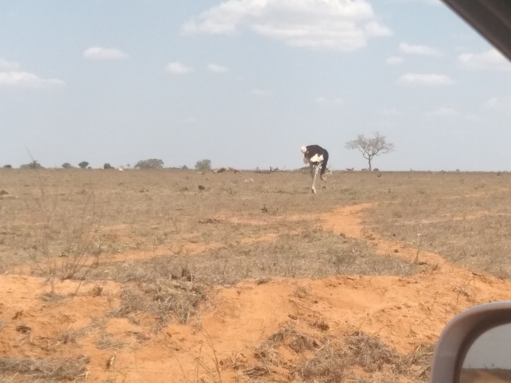 malindi