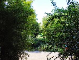 limuru