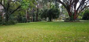 limuru