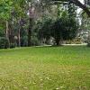 limuru