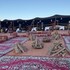 wadi rum