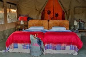 masai mara