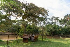 olengoti safari camp east africa camps