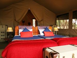 olengoti safari camp east africa camps