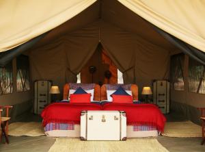 olengoti safari camp east africa camps