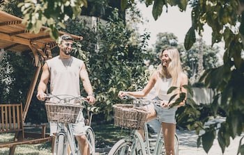 lear sense experience luxury hotel