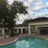 maun