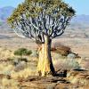 Namib's Valley Lodge,Gamsberg>>Cha-Re,3 star