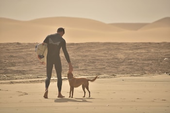 salty jackal backpackers and surf camp