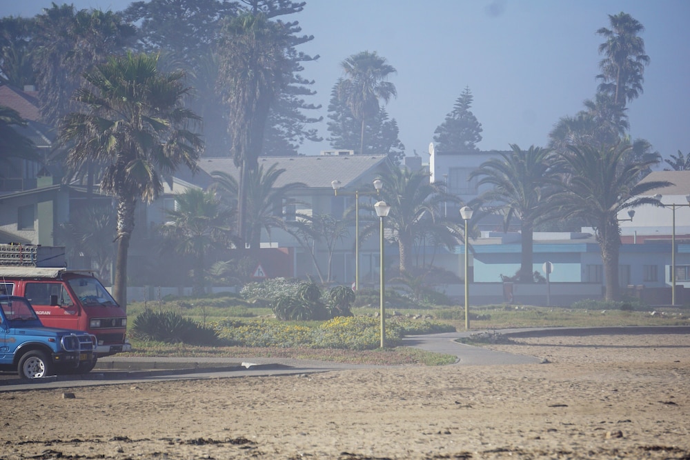 salty jackal backpackers and surf camp