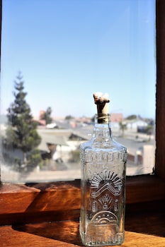 salty jackal backpackers and surf camp