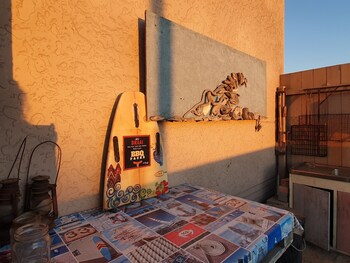 salty jackal backpackers and surf camp