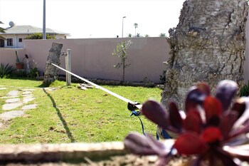 salty jackal backpackers and surf camp