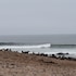 salty jackal backpackers and surf camp