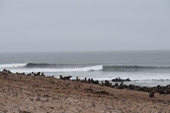 salty jackal backpackers and surf camp
