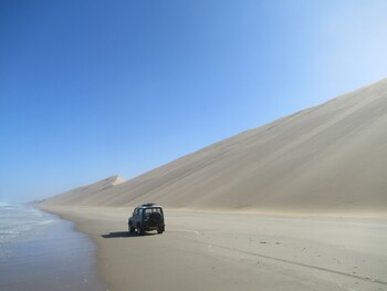 salty jackal backpackers and surf camp