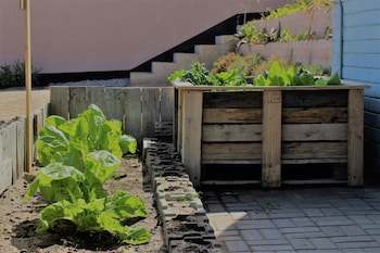 salty jackal backpackers and surf camp