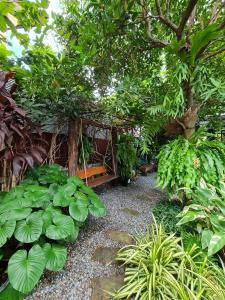 baan canalee