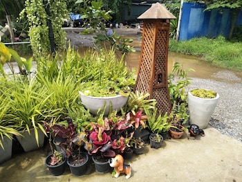 kaeng khoi
