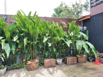 rossarin garden resort 2