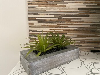 hotel awazul bacalar