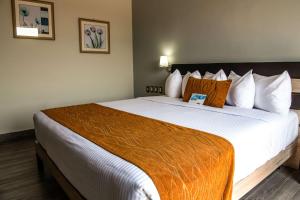 comfort inn irapuato