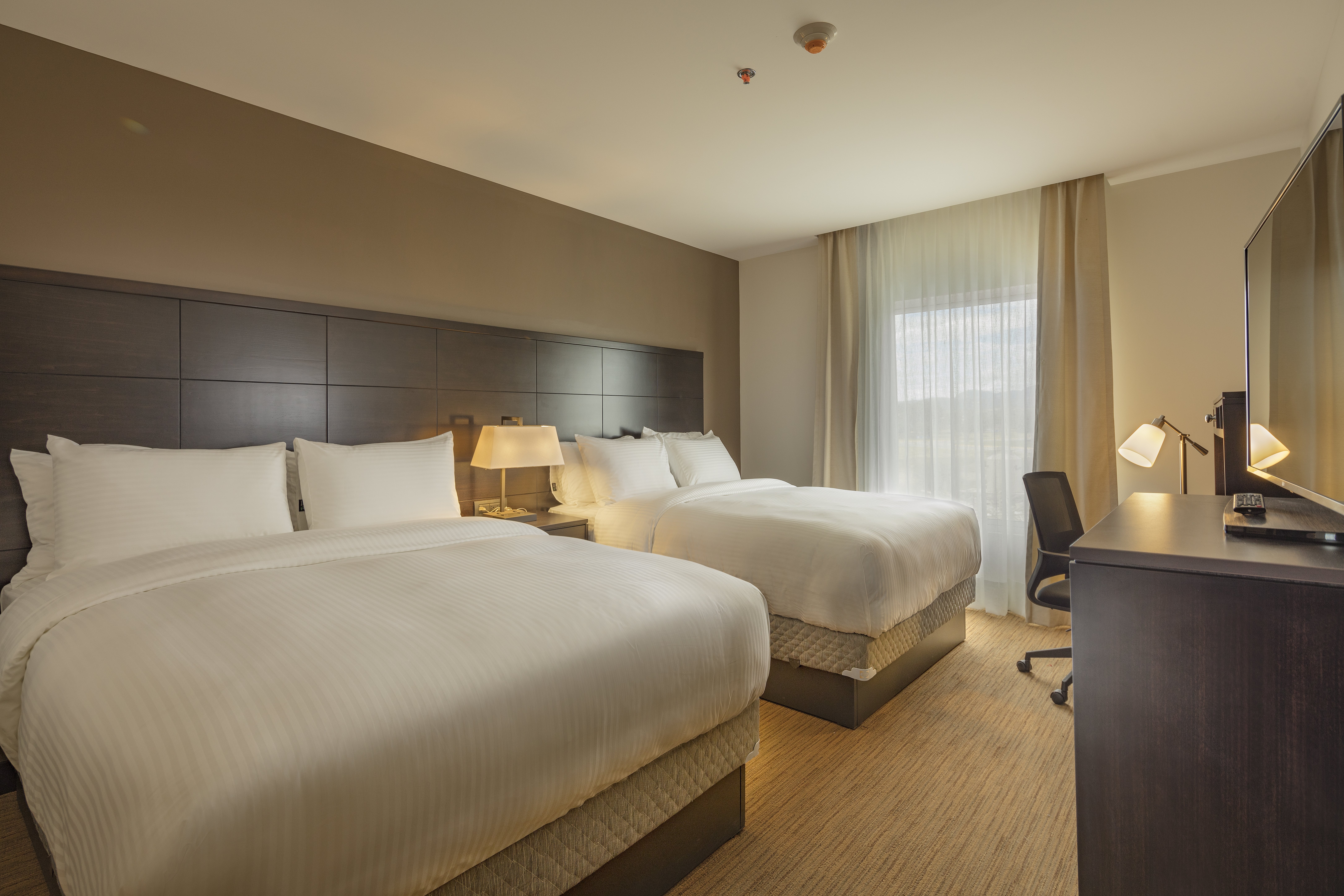 staybridge suites saltillo