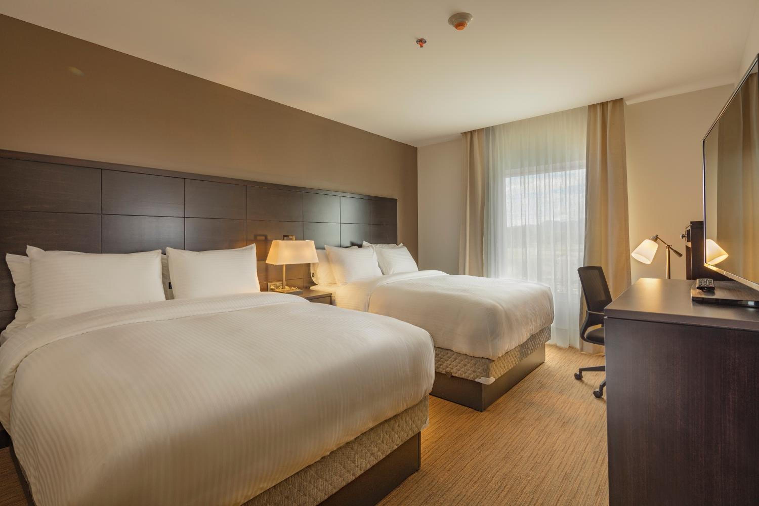 staybridge suites saltillo