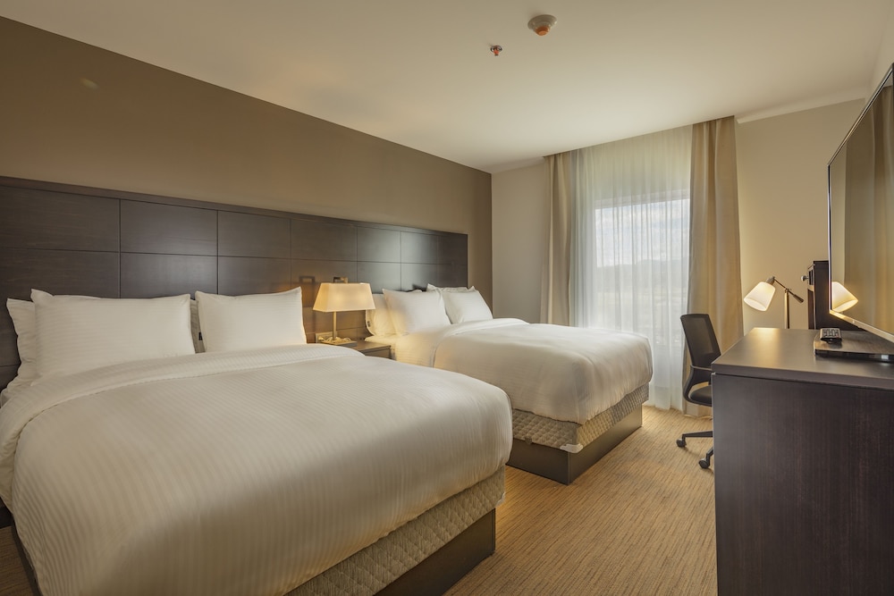 staybridge suites saltillo