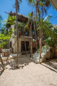 casa coyote tulum
