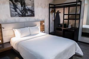 radisson hotel monterrey san jeronimo