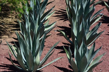 hotel casa legado spa and resort