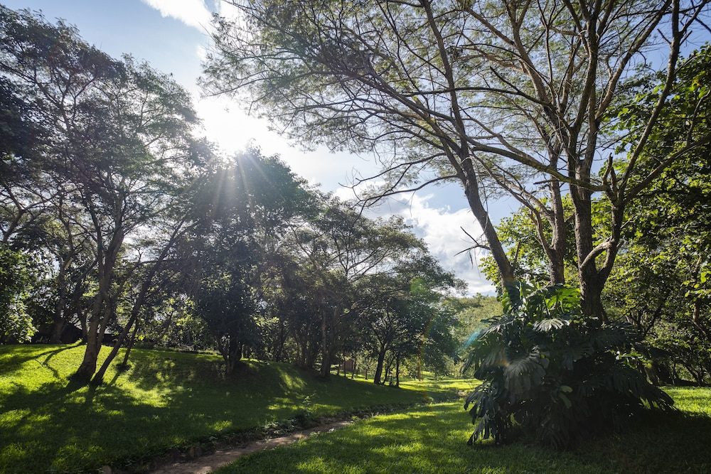 eden estates and boutique lodge