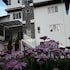dear dino villa cameron highlands