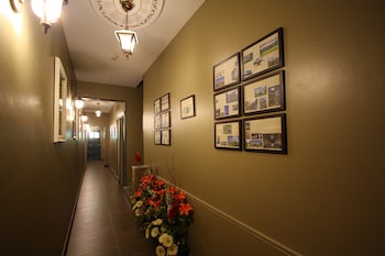 shamrock greenhill