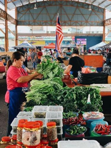 ts hotel taman rinting